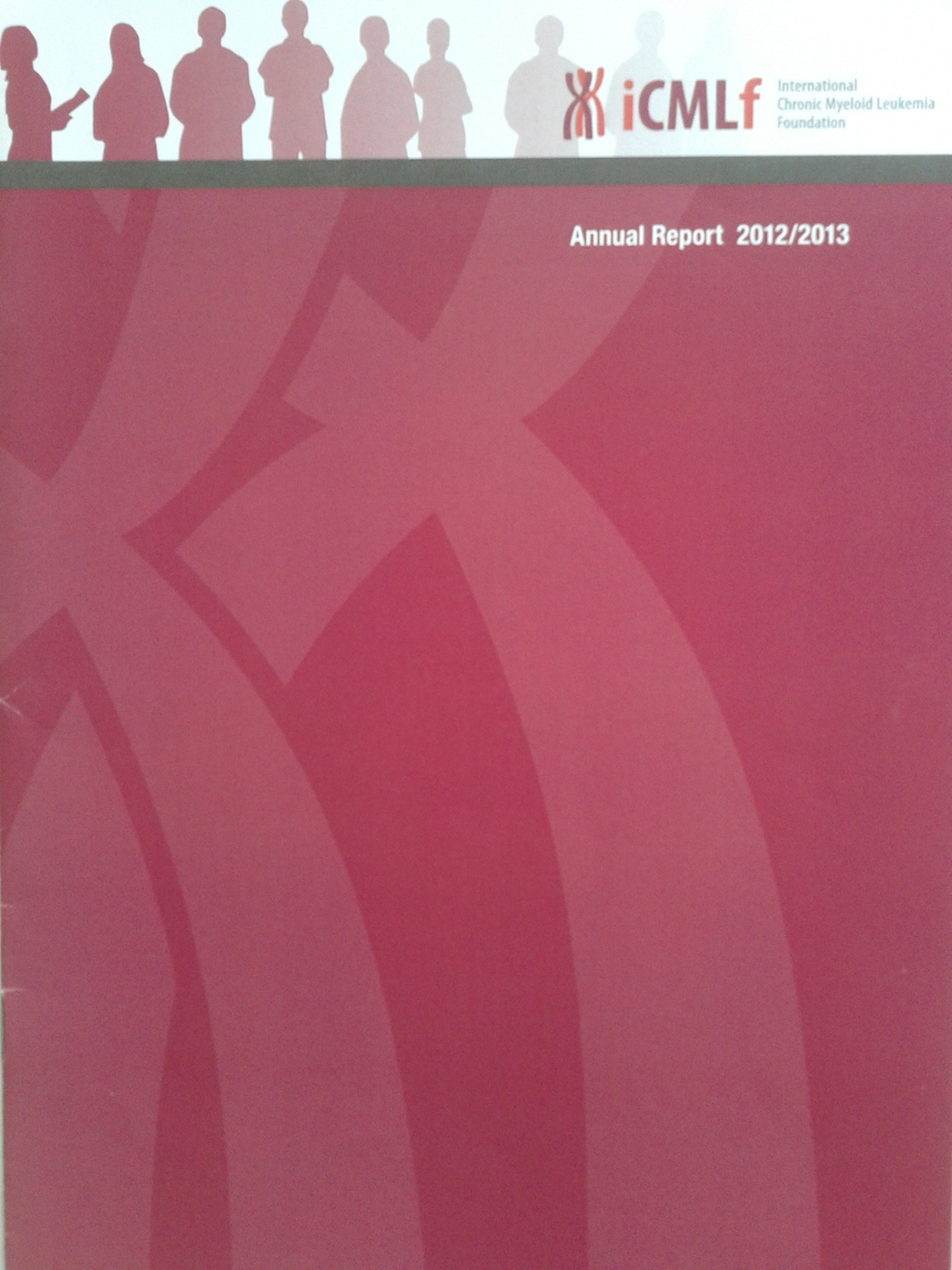 Picture Annual Report 2013